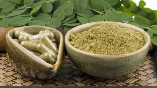 Satvikk moringa leafs powder 100g